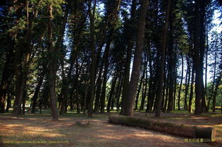 华南植物园 都市绿肺中的生命绿洲