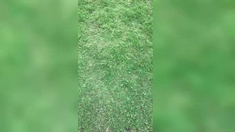 欢迎来到林木木1的个人频道 一个关于成长、生活与思考的小小宇宙